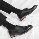 Zapato de Vestir Masculino Elegance Primo